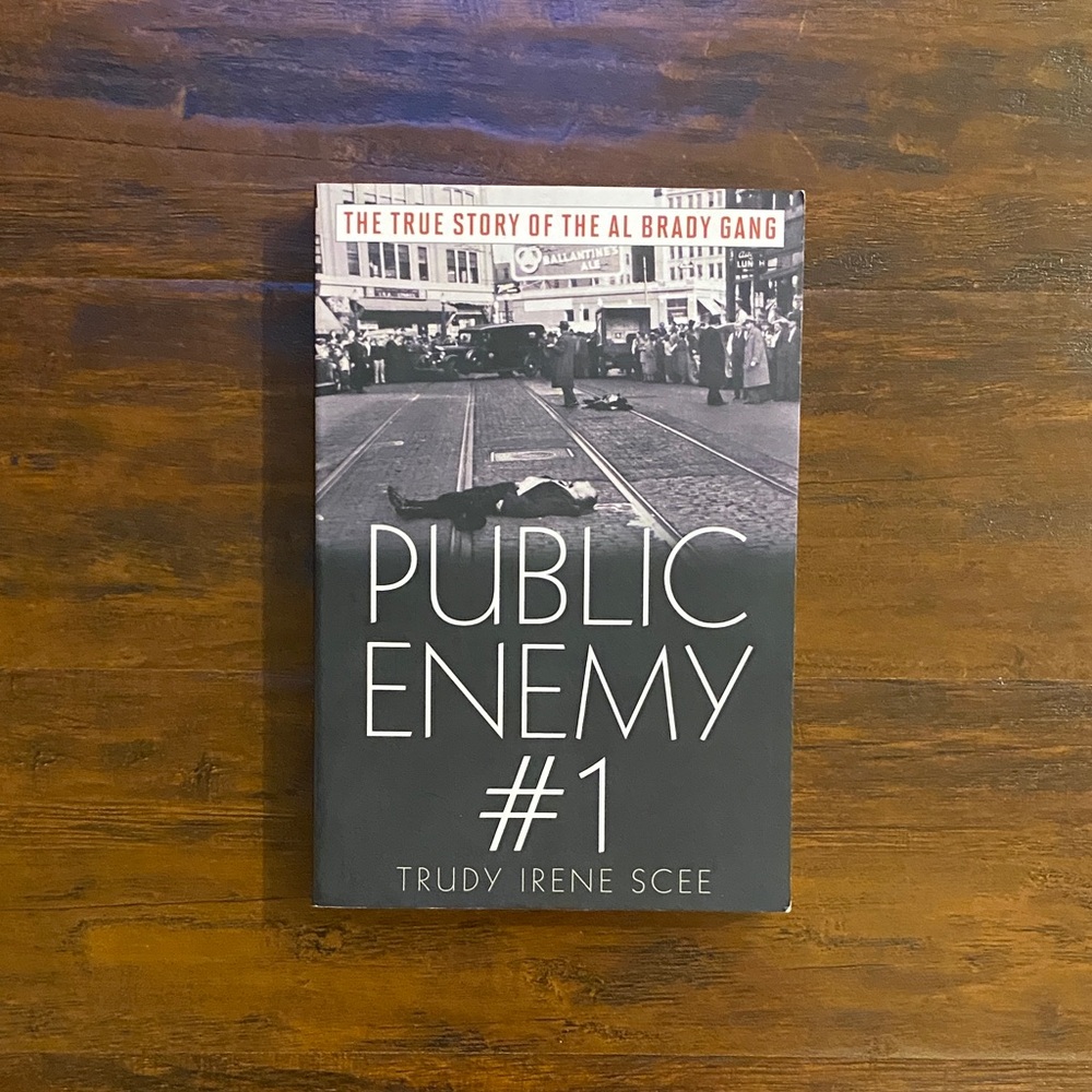 Public Enemy #1 True Story of Al Brady Gang